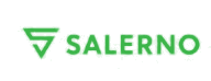 Salerno Consultancy Company logo